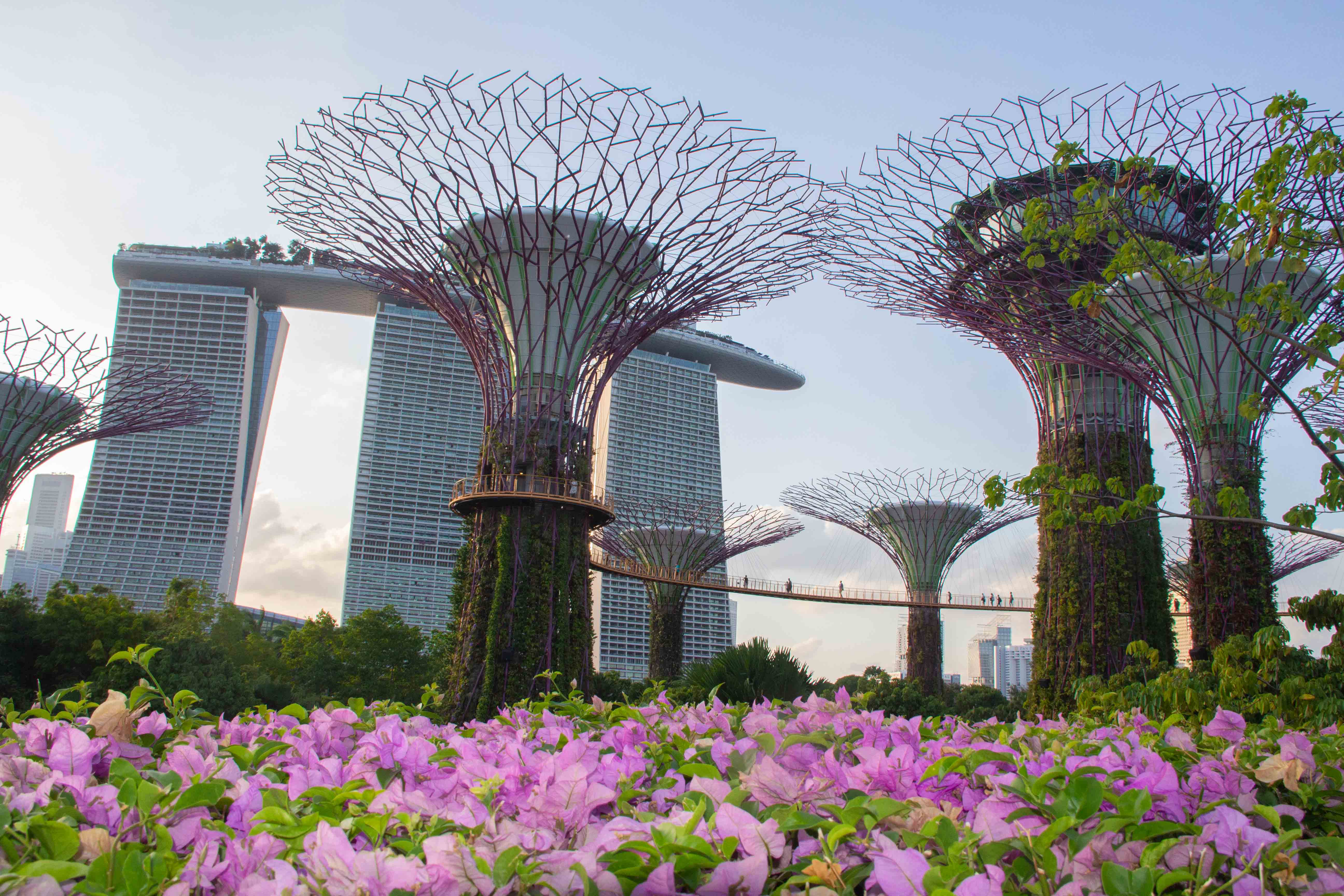 Malezja i Singapur - w świecie kontrastów (10).jpg